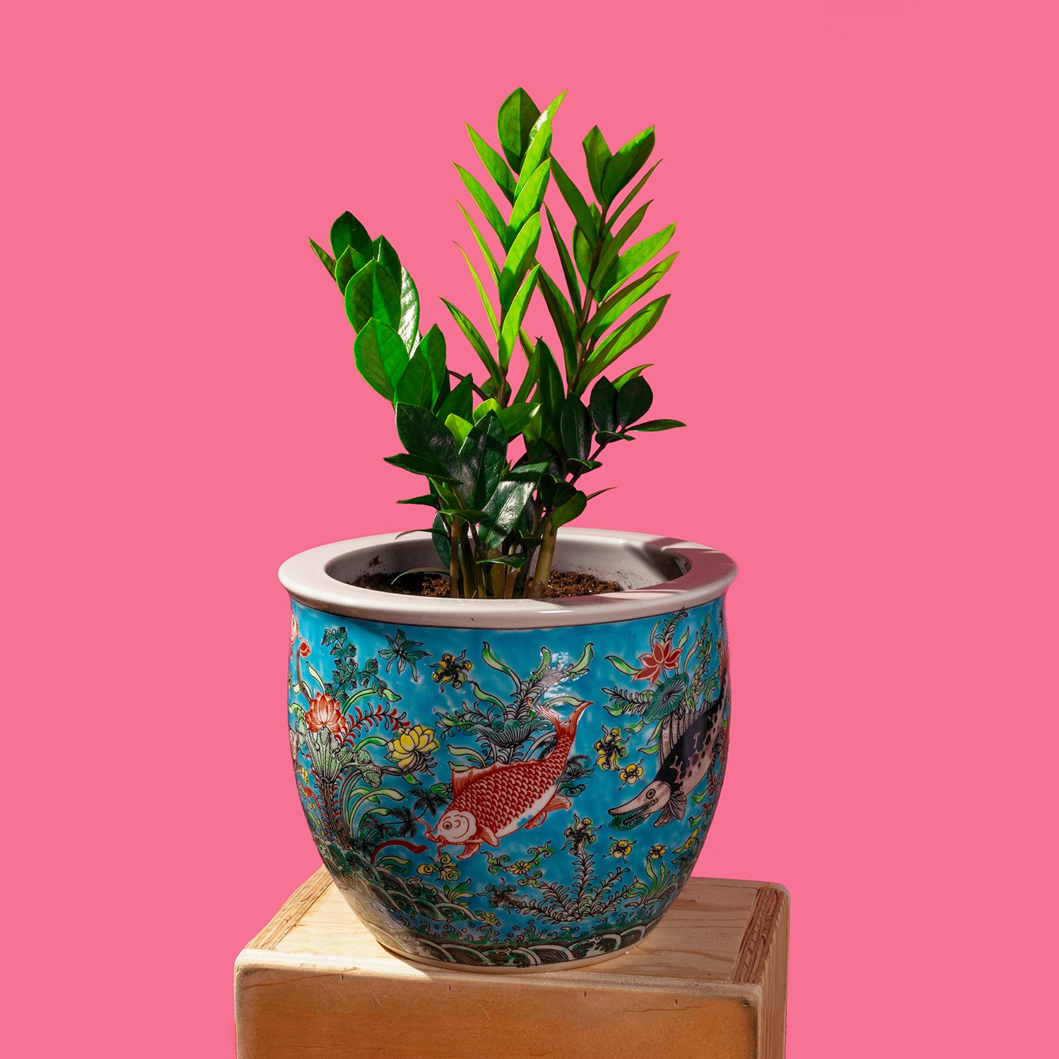 plant pots and planters Handpainted Planters – Wing on Wo & Co